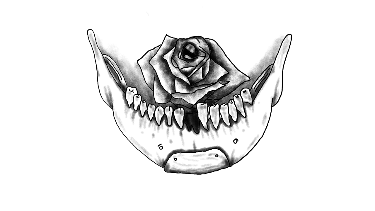 Skull Rose